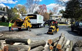 Best Arborist Consultation Services  in Bradley Gardens, NJ