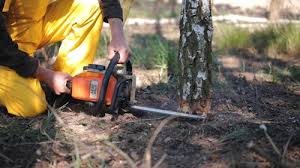 Best Lawn Drainage Solutions  in Bradley Gardens, NJ