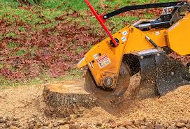 Best Lawn Irrigation Installation and Maintenance  in Bradley Gardens, NJ
