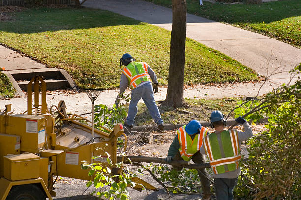 Best Aeration Services  in Bradley Gardens, NJ